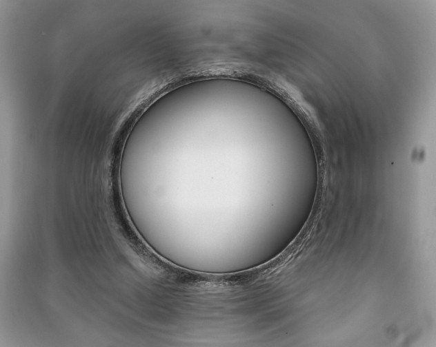X0000091180250200708091052