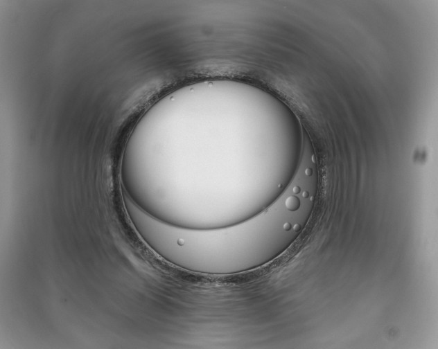 X0000091180254200708091052