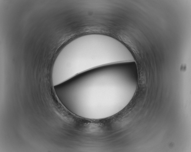 X0000091180255200708091052