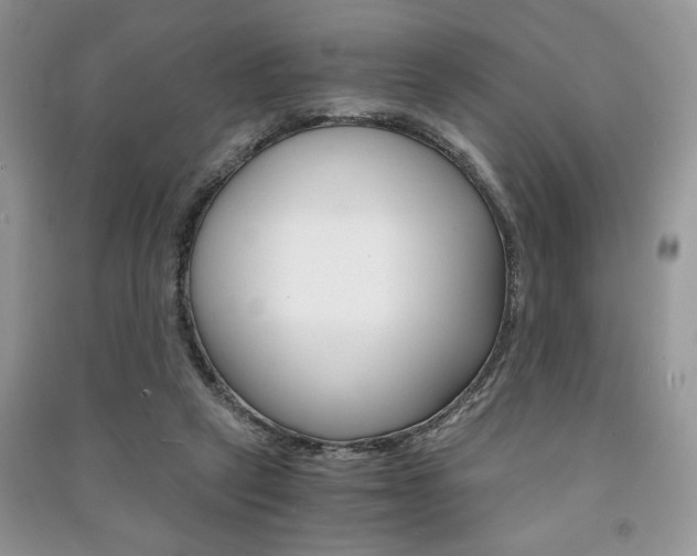 X0000091180257200708091052