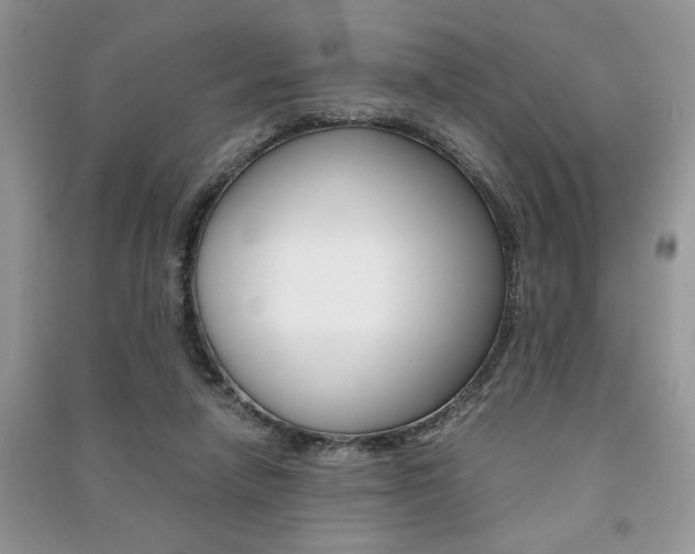 X0000091180258200708091052