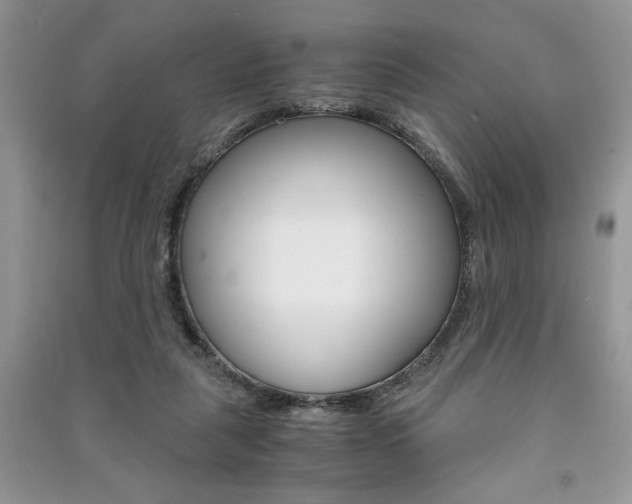 X0000091180259200708091052