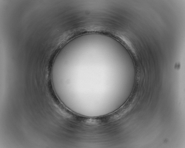 X0000091180261200708091052