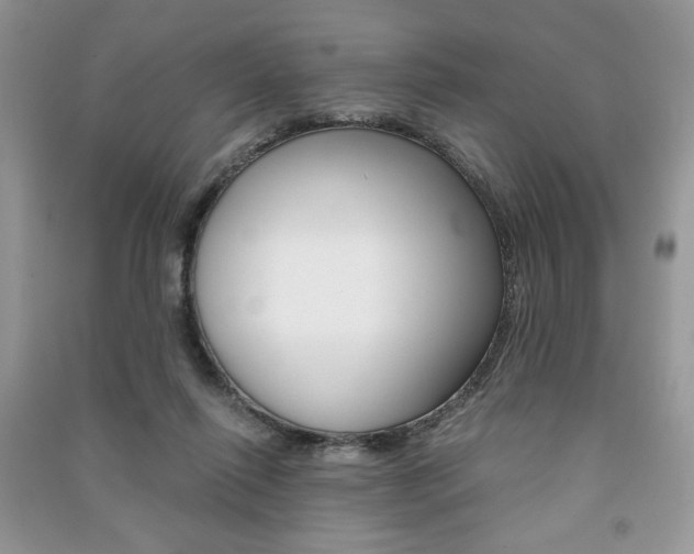 X0000091180262200708091052