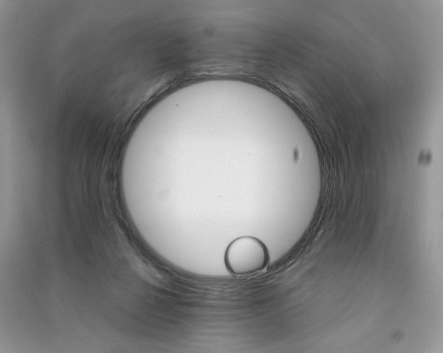 X0000091180264200708091052