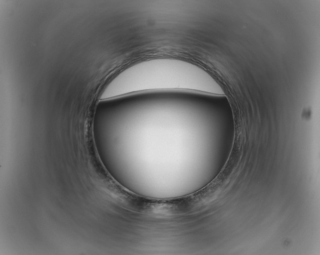 X0000091180268200708091052