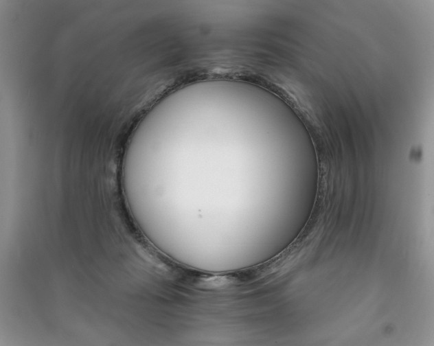 X0000091180269200708091052