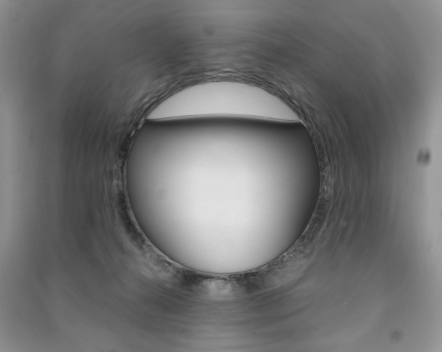 X0000091180272200708091052