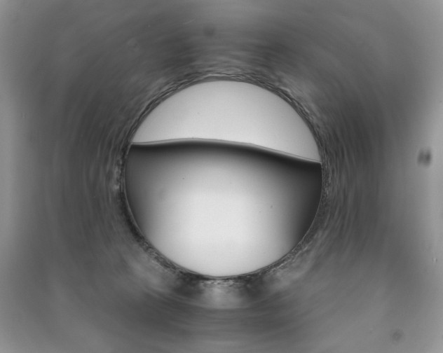X0000091180273200708091052