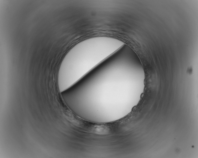 X0000091180275200708091052