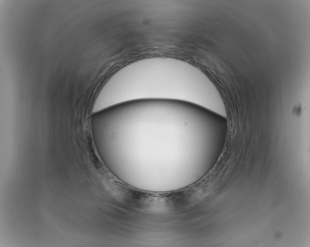 X0000091180276200708091052