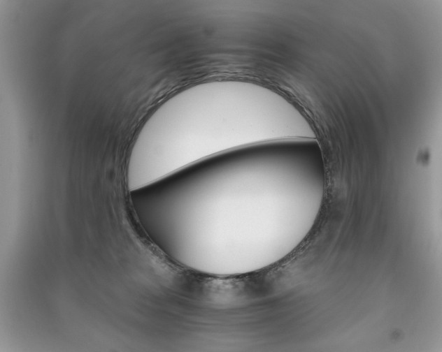 X0000091180277200708091052
