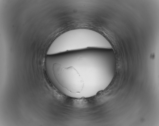 X0000091180281200708091052