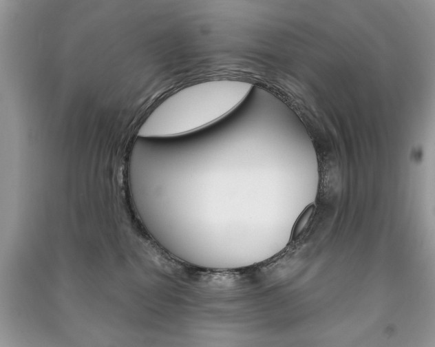 X0000091180282200708091052