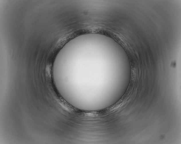X0000091180286200708091052