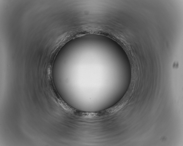 X0000091180288200708091052