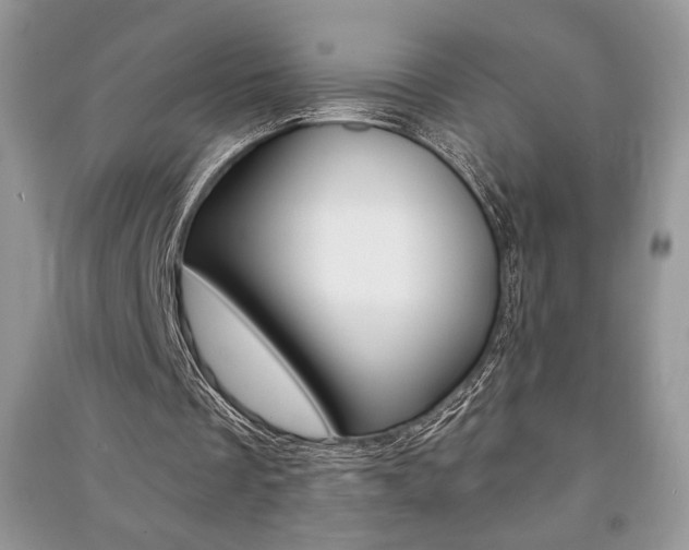 X0000091180289200708091052
