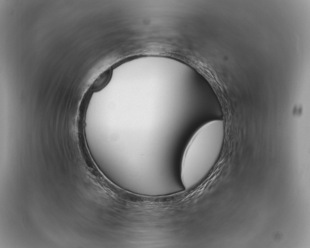 X0000091180292200708091052