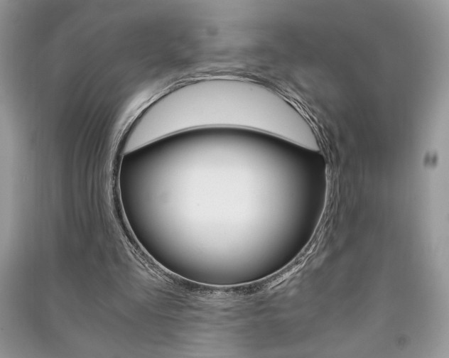 X0000091180293200708091052
