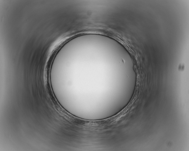 X0000091180294200708091051