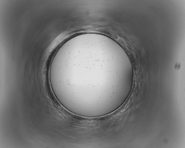 X0000091180295200708091051