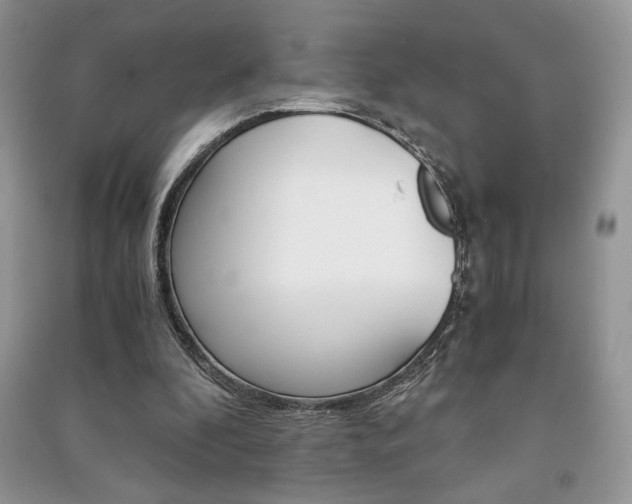 X0000091180296200708091051
