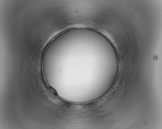 X0000091180297200708091051