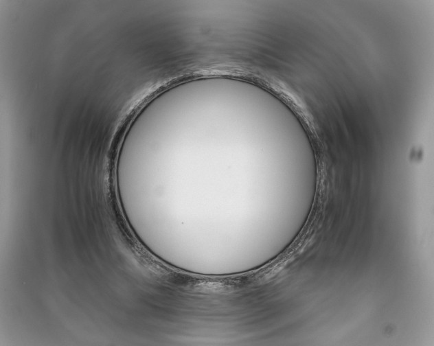 X0000091180298200708091051
