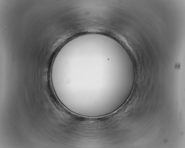 X0000091180299200708091051