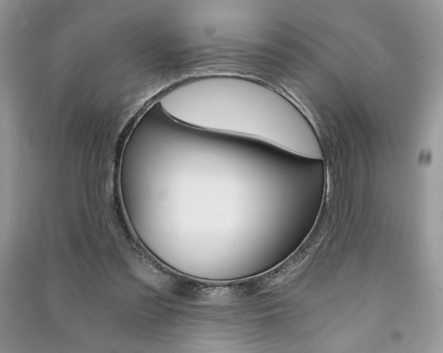 X0000091180301200708091051