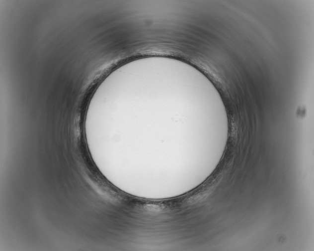 X0000091180302200708091051