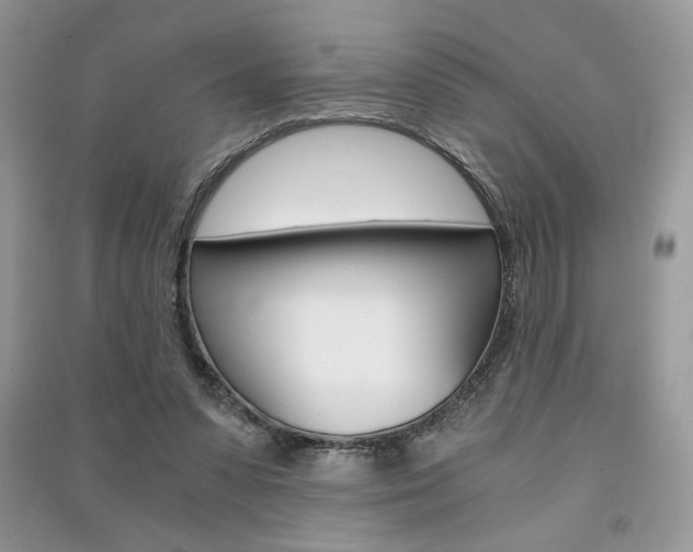 X0000091180303200708091051