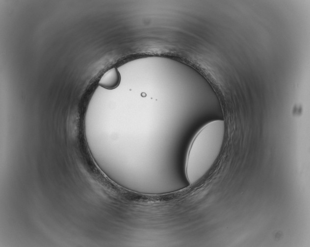 X0000091180304200708091051