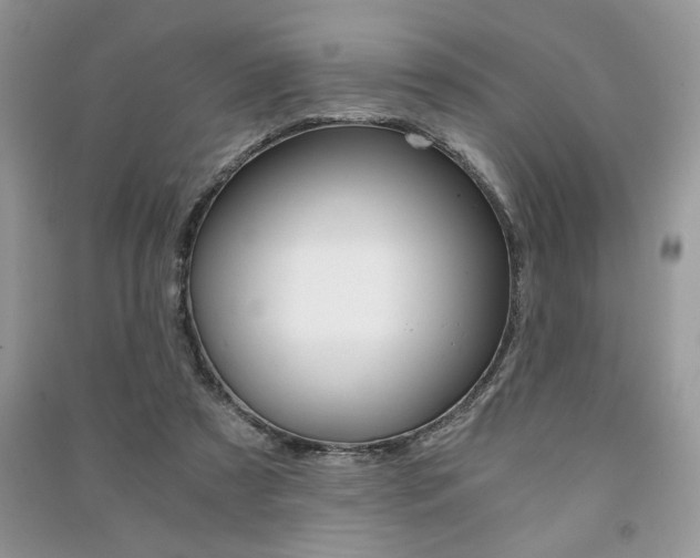 X0000091180305200708091051