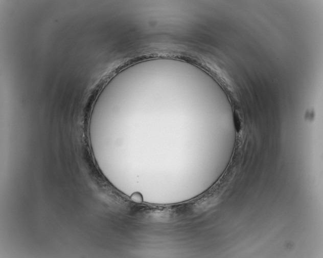 X0000091180306200708091051