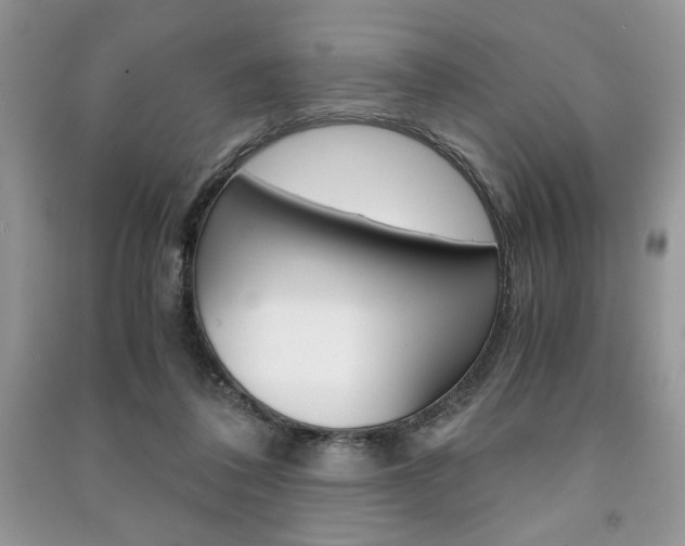 X0000091180308200708091051