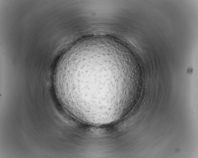 X0000091180311200708091051