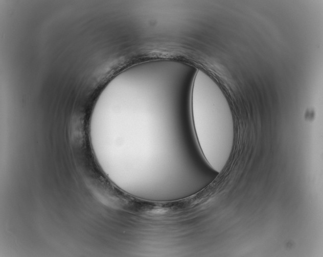 X0000091180312200708091051