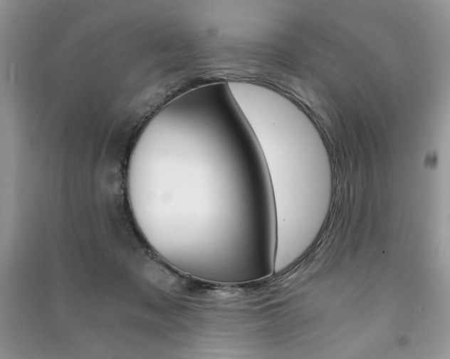 X0000091180317200708091051