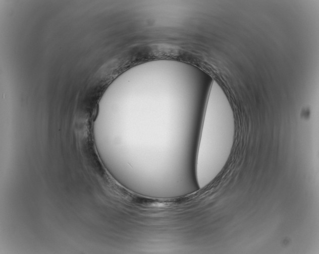 X0000091180323200708091051
