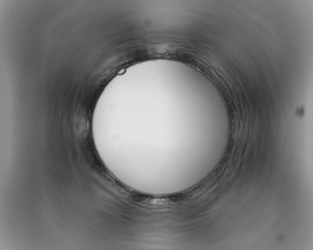 X0000091180324200708091051
