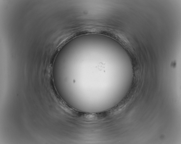 X0000091180325200708091051