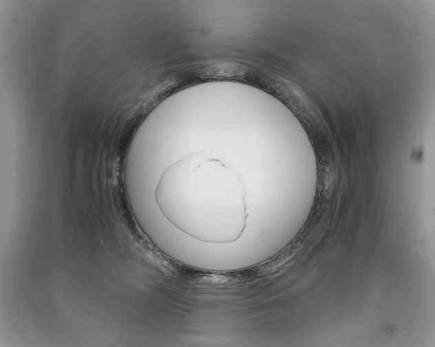 X0000091180326200708091051
