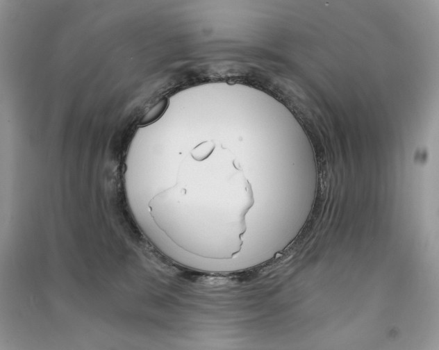 X0000091180327200708091051