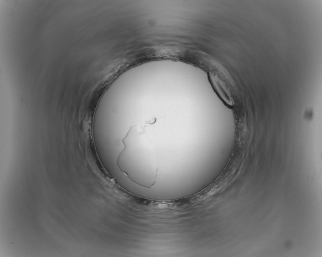 X0000091180329200708091051