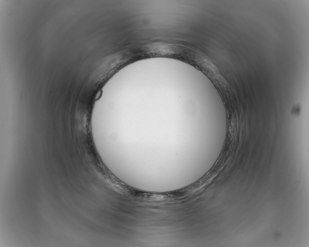 X0000091180330200708091051