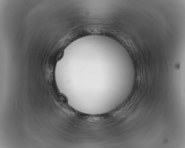 X0000091180332200708091051