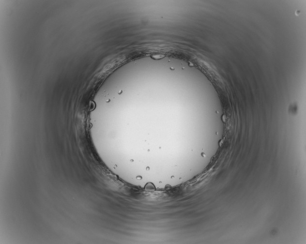X0000091180333200708091051