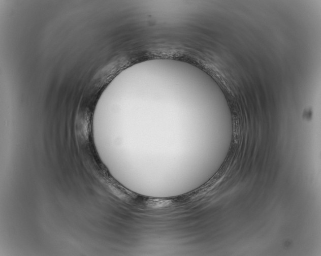 X0000091180334200708091051