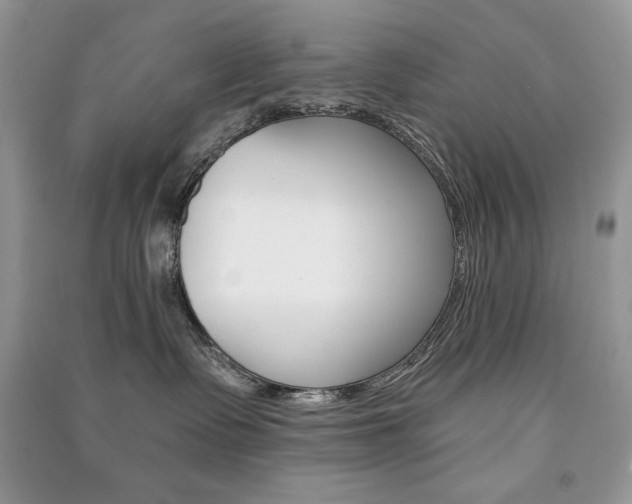 X0000091180335200708091051
